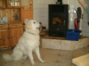 Domingo mit Kamin