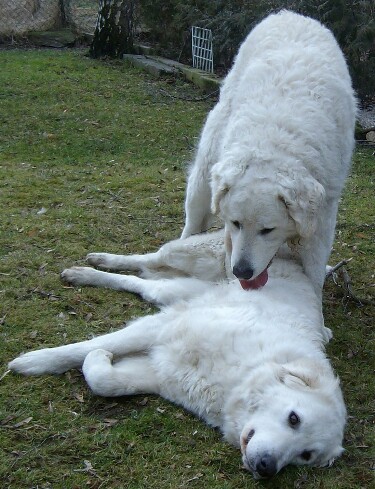 Domingo und Irka März 2009
