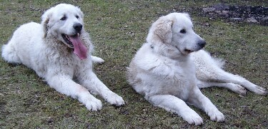 Domingo und Irka   März 2009