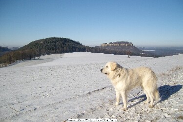 Festung Königsstein 2009