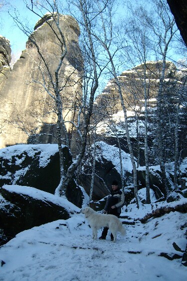 Pfaffenstein 2009